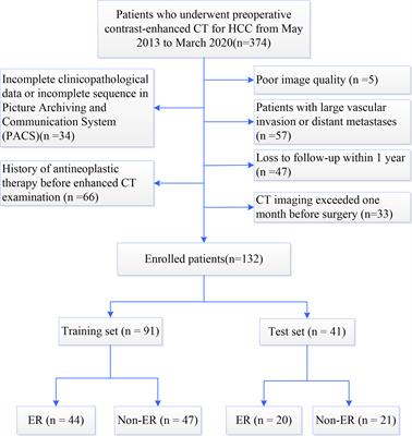 CT-Based Radiomics Nomogram Improves Risk Stratification and Prediction of Early Recurrence in Hepatocellular Carcinoma After Partial Hepatectomy